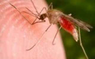Какие симптомы при малярии
