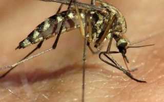 Чем мазать укусы комаров